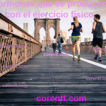 Hormonas que se producen con el ejercicio físico